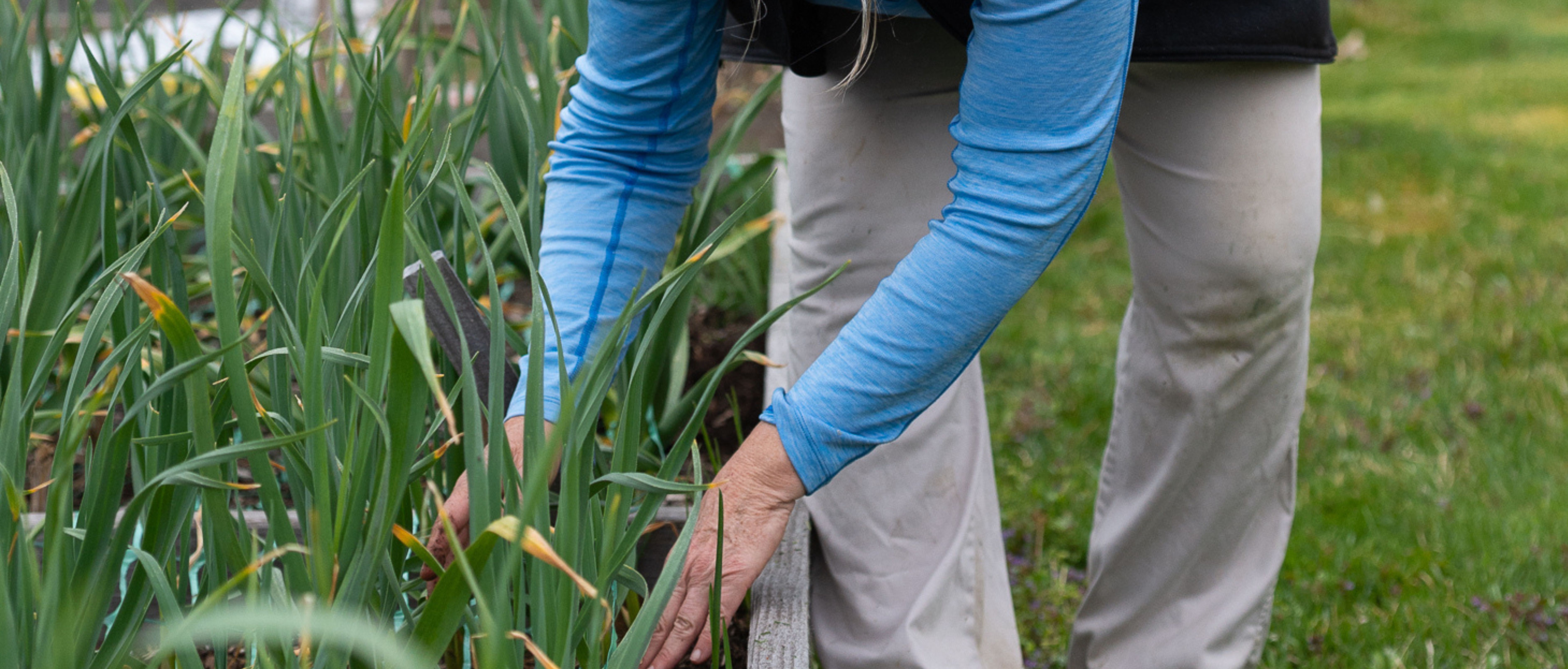 Apply for Financial Support for Your Parish Ministry | Episcopal ...