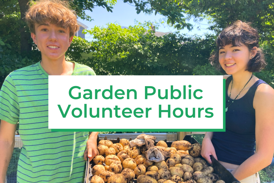 Volunteer Hours Garden St. Francis