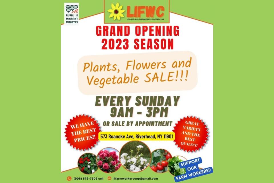 LIFWC Plant Sale