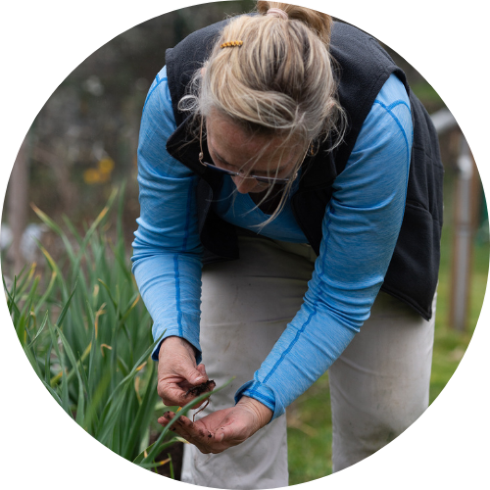 St. Peter's Organic Victory Garden - grantee icon