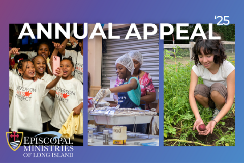 Annual Appeal Thumbnail sized banner