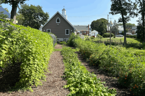 Garden website thumbnail