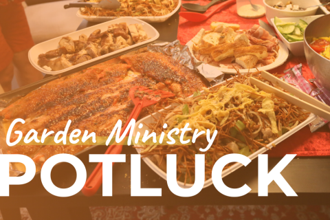 Potluck Dinner